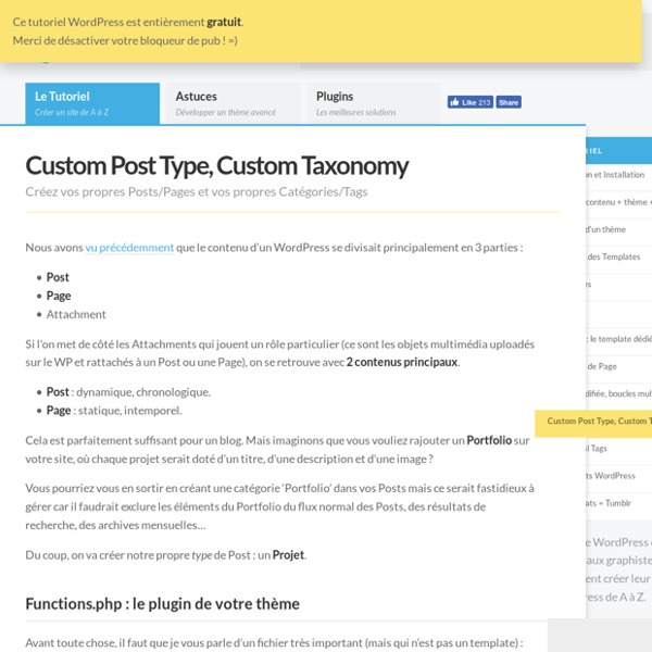 Custom Post Type, Custom Taxonomy - Le Guide WordPress Le Guide WordPress: tutoriel, astuces, plugins et hébergement