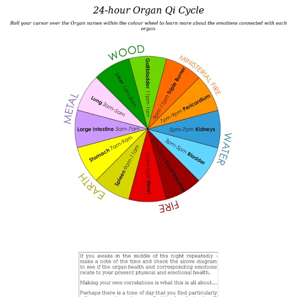 TCM - 24-hour Organ Qi Cycle
