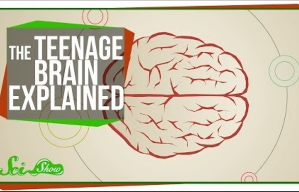The Teenage Brain Explained