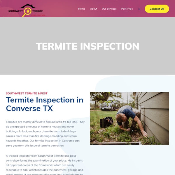 Termite Inspection in Converse TX
