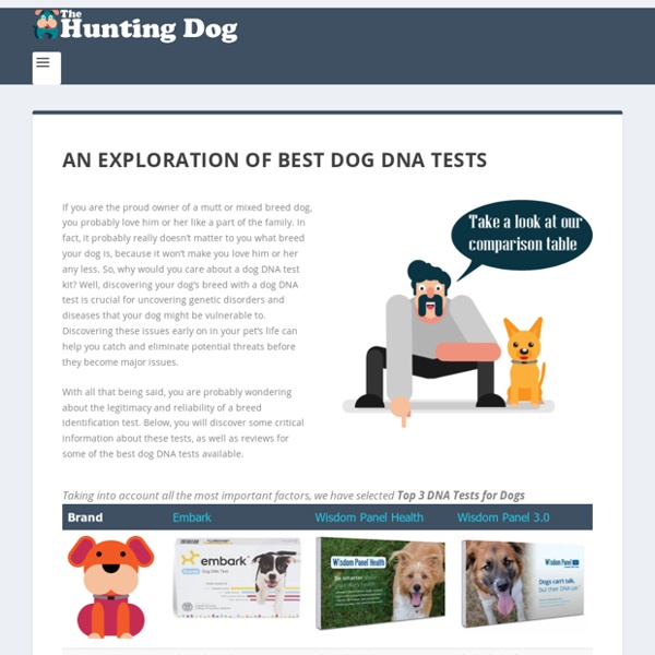 3 Best DNA Tests for Dogs - Buyer's Guide & Reviews