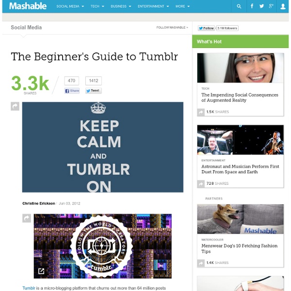 The Beginner's Guide to Tumblr - Waterfox