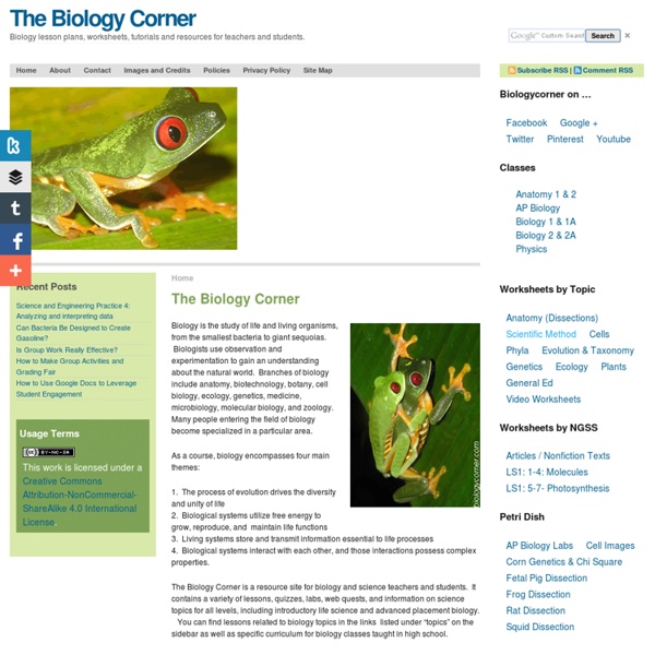 The Biology Corner