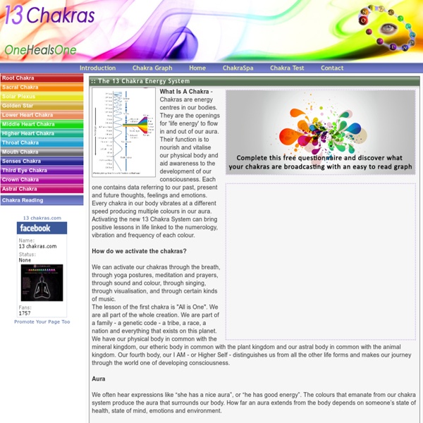 The 13 Chakra System