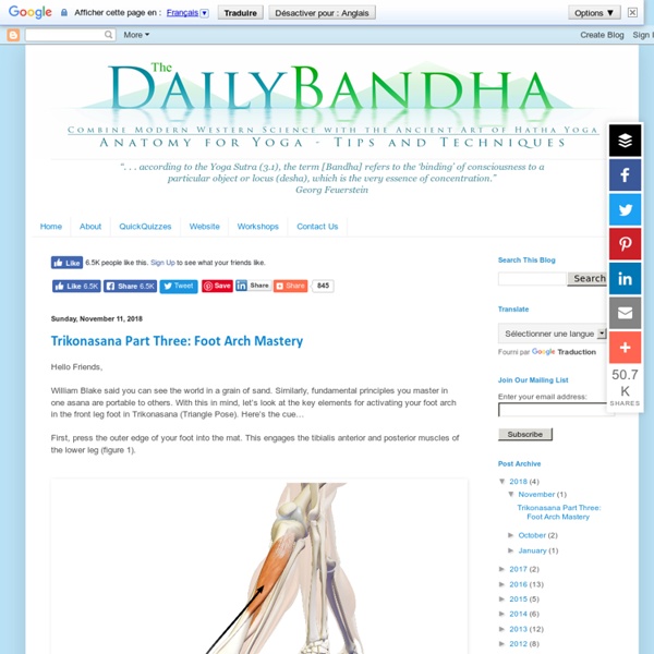 The Daily Bandha