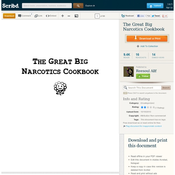 The Great Big Narcotics Cookbook