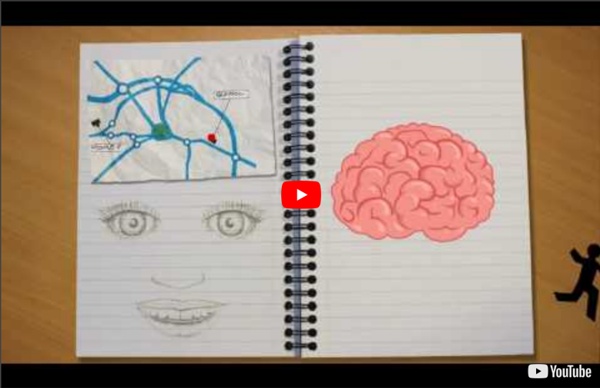 The High Cost Of Neuromyths In Education >> The Learning Brain Pearltrees The High Cost Of Neuromyths In Education >> The Learning Brain Pearltrees