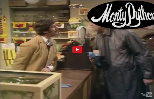 The Parrot Sketch - Monty Python's The Flying Circus