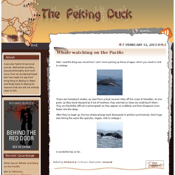 The Peking Duck