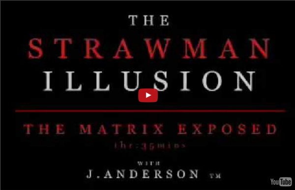 The Strawman Illusion 1 of 10