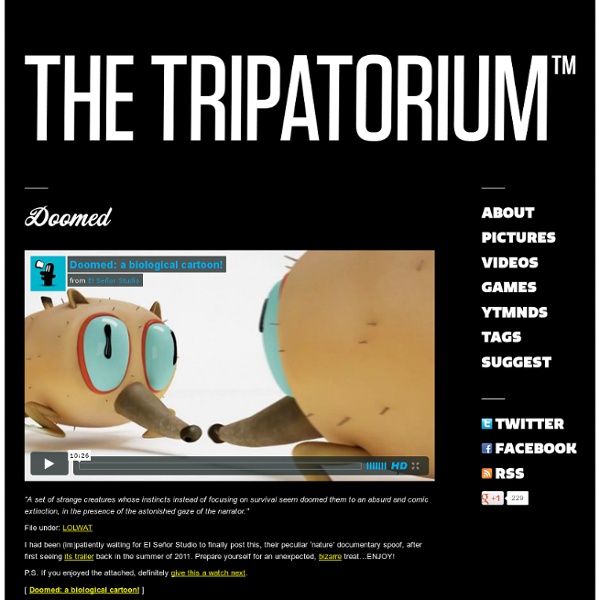 The Tripatorium™