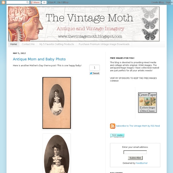The Vintage Moth..