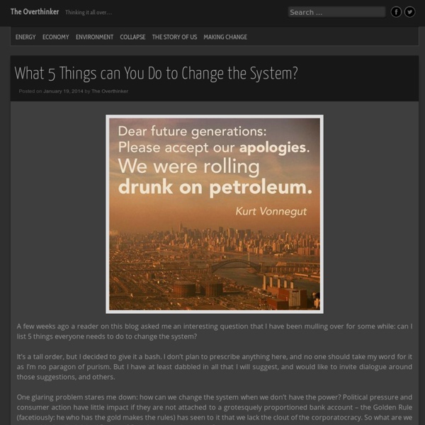 What 5 Things can You Do to Change the System?