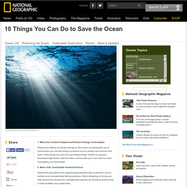 10 Things You Can Do to Save the Ocean
