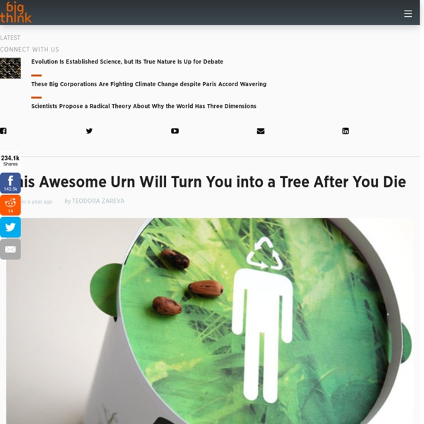 This Awesome Urn Will Turn You into a Tree After You Die