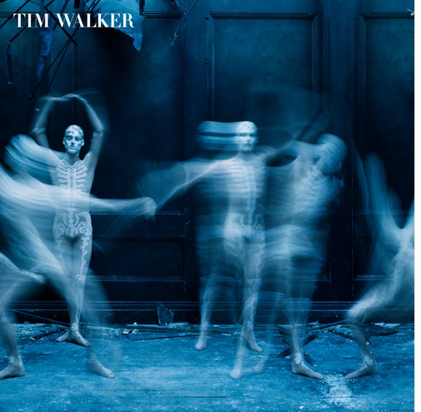 Tim Walker Photography