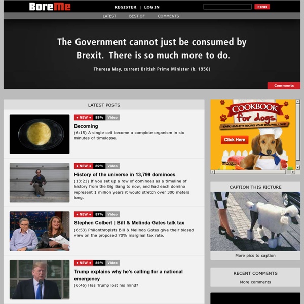 BoreMe: Topical, intelligent fun. Videos, pictures and games - updated daily.