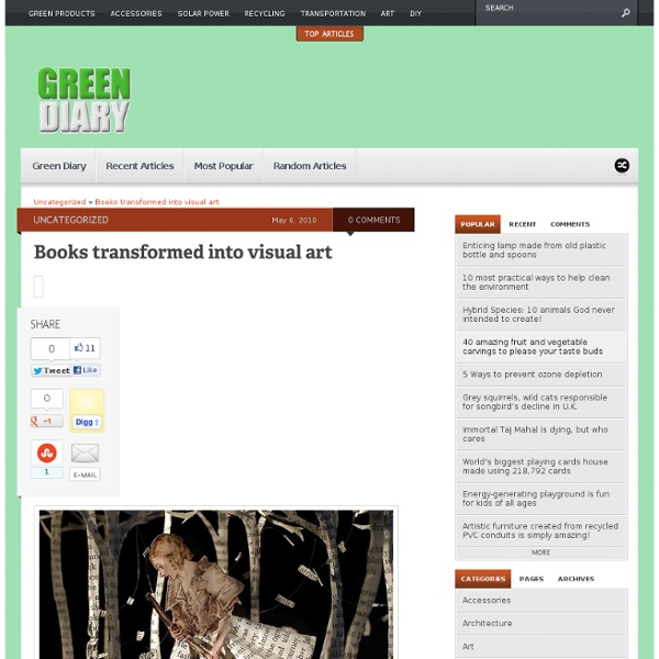 Books Transformed Into Visual Art - Green Diary
