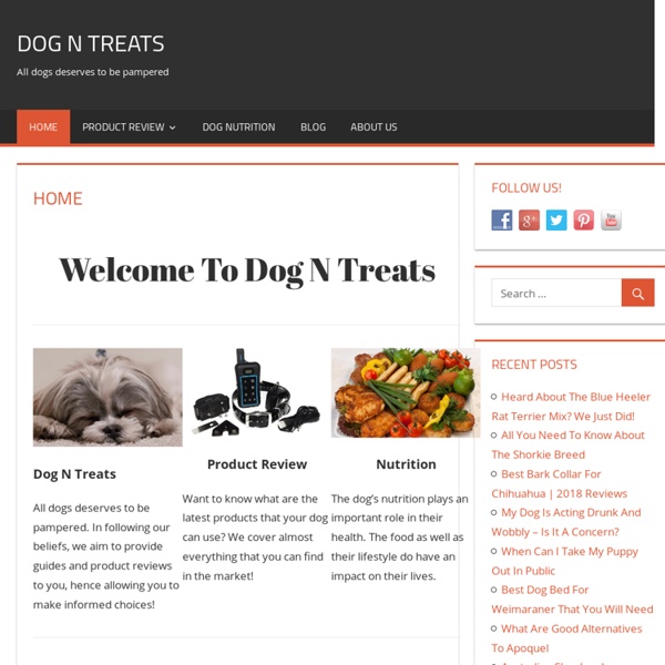 Dog N Treats - All dogs deserves to be pampered.