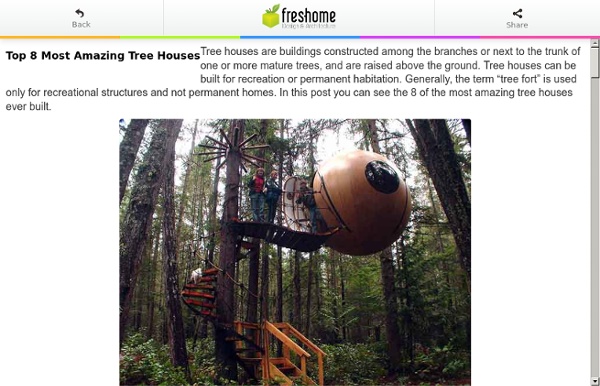 Top 8 Most Amazing Tree Houses