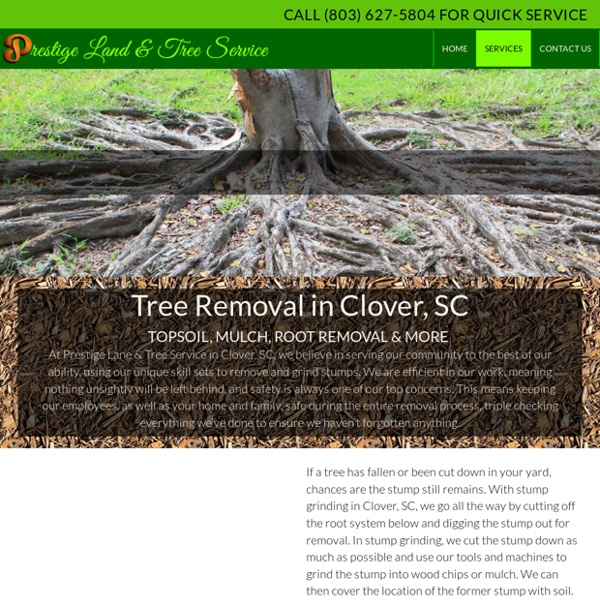 Stump Grinding Services in Clover, SC