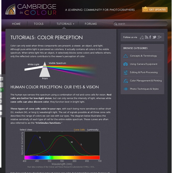 Tutorials – Color Perception
