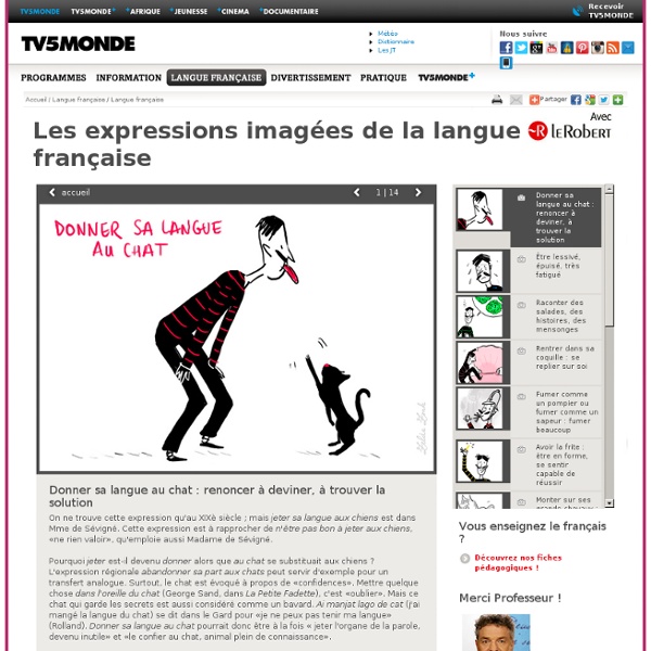 TV5MONDE- Les expressions imagées de la langue<br/> française- Donner sa langue au chat : renoncer à deviner, à trouver la solution