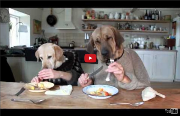 TWO DOGS DINING