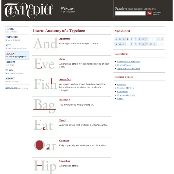 Learn: Anatomy of a Typeface