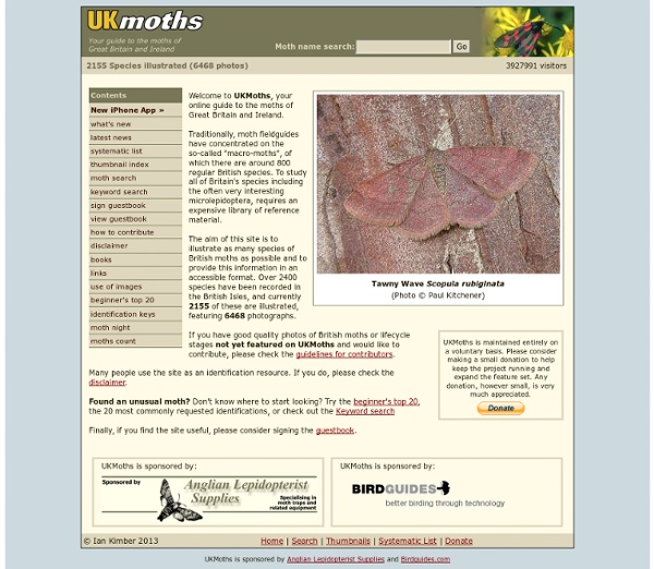 Guide to the moths of Great Britain and Ireland