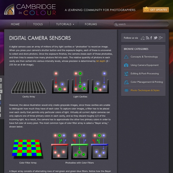 Understanding Digital Camera Sensors