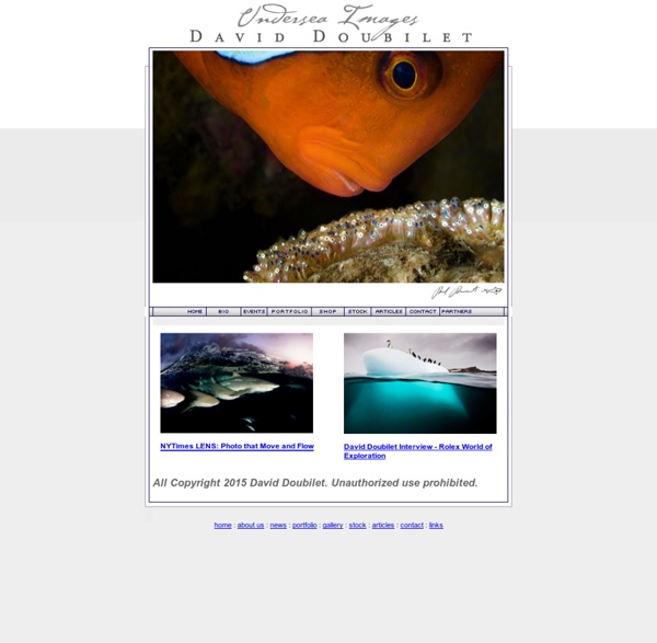 David Doubilet Home Page: Underwater Photography: Assignment, Stock and Fine Art