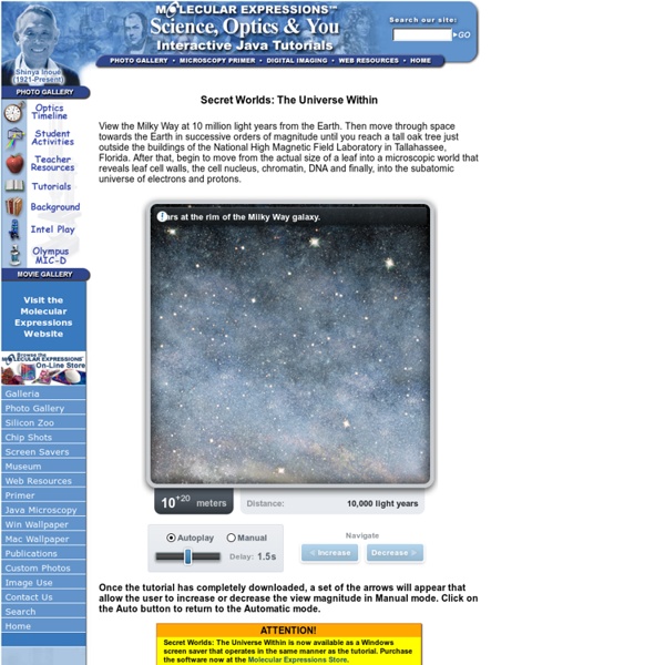 Secret Worlds: The Universe Within - Interactive Java Tutorial