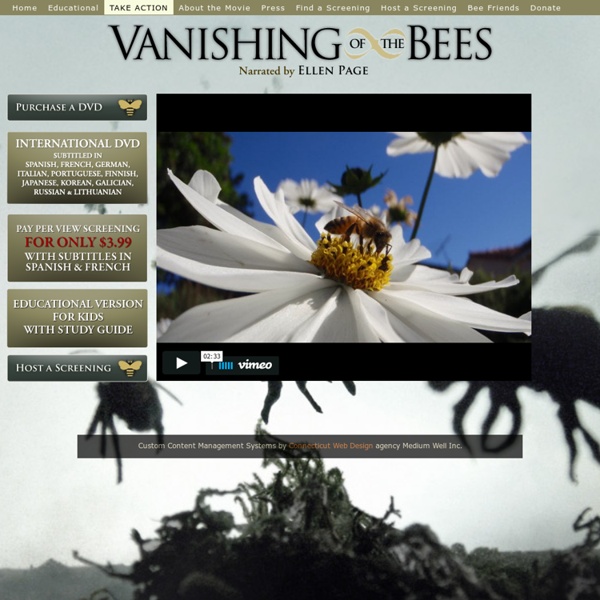 Vanishing Of The Bees