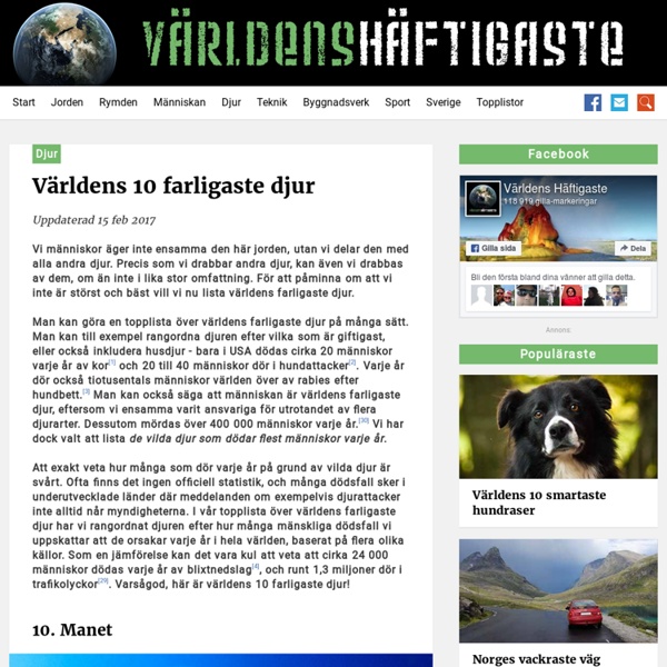 Världens 10 farligaste djur