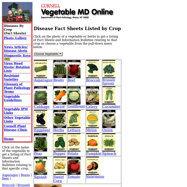 Vegetable Diseases Fact Sheets listed by Crop