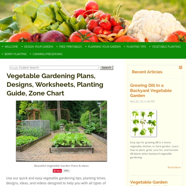 Vegetable Gardening Plans & Designs for an Indoor or Outdoor Garden