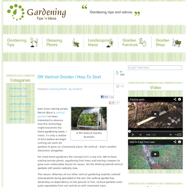 Gardening Tips ‘n Ideas