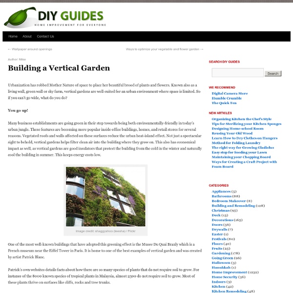 How To Build A Vertical Garden & DIY Guides