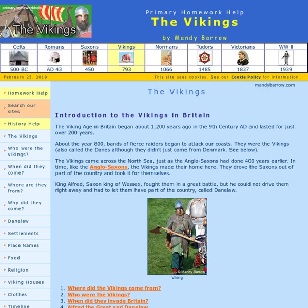 Vikings Homework for kids