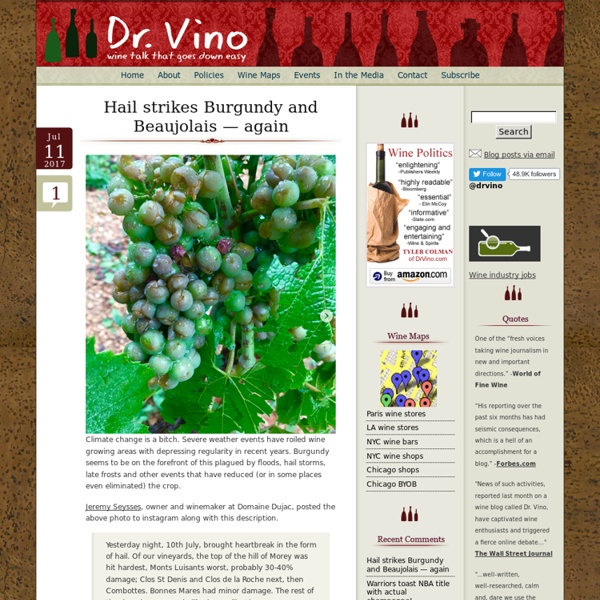 Dr Vino's wine blog » wine talk that goes down easy Dr Vino's wine blog
