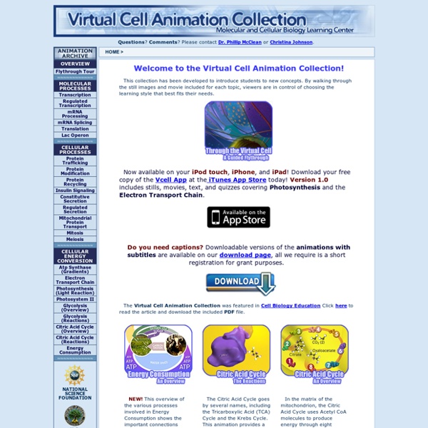 Virtual Cell Animation Collection