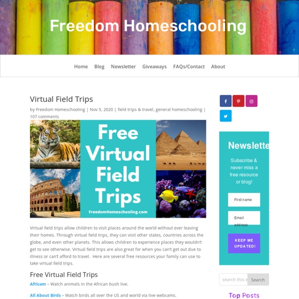 Freedom Homeschooling