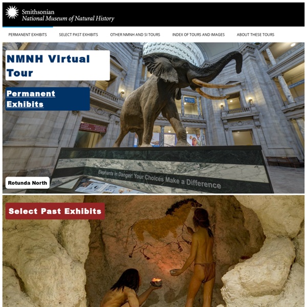NMNH - Virtual Tour