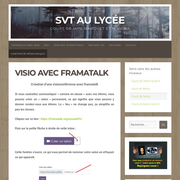 Visio avec framatalk – SVT au lycée