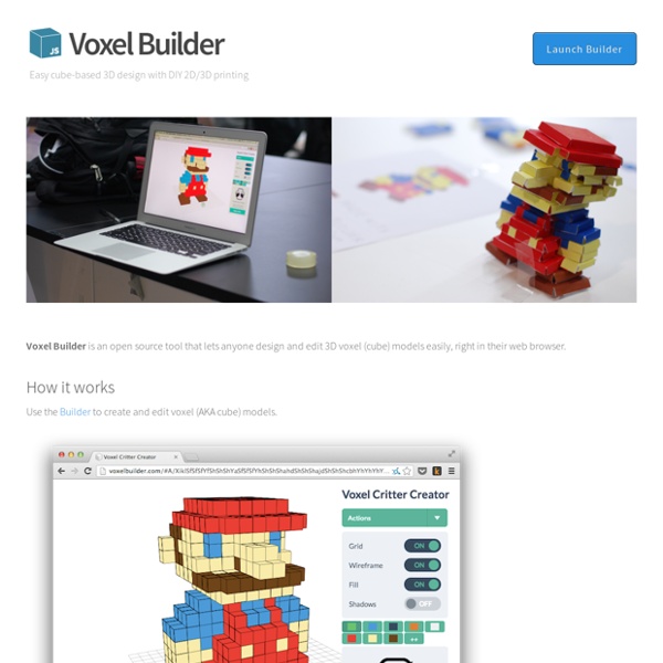 Voxel Builder