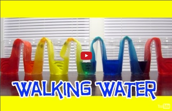 WALKING WATER Easy Kids Science Experiments