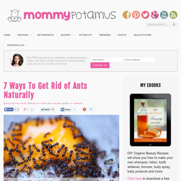 7 Ways To Get Rid of Ants Naturally