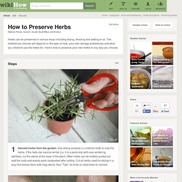 5 Ways to Preserve Herbs