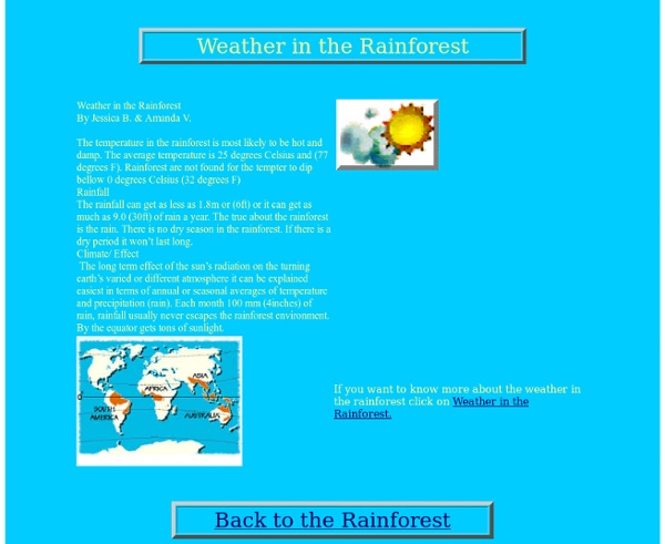 Weather in the rainforest